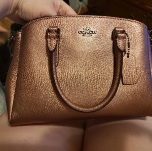 Coach Metallic Rose Purse/Wallet Set